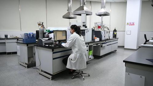 汕頭市澄海區酷孩玩具廠泡泡玩具樣本3種增塑劑總含量超標