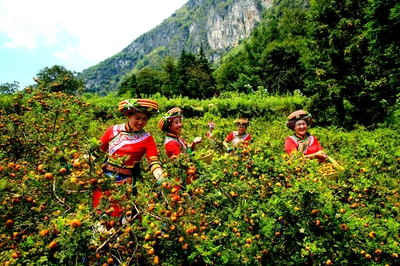 &ldquo;富礦精開&rdquo;強(qiáng)優(yōu)勢--六盤水奮力在新時(shí)代西部大開發(fā)上闖新路