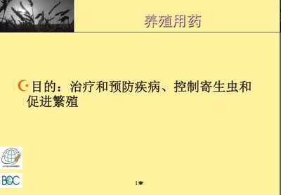 食品安全、質(zhì)量管理及相關(guān)標(biāo)準(zhǔn)體系培訓(xùn)--食品安全與貿(mào)易全球化-免費(fèi)閱讀