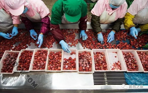 改開四十年 農(nóng)林牧漁篇