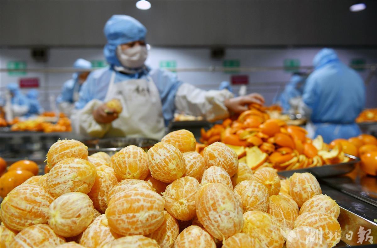 屈姑食品亮相全國農業國際貿易高質量發展基地建設交流會